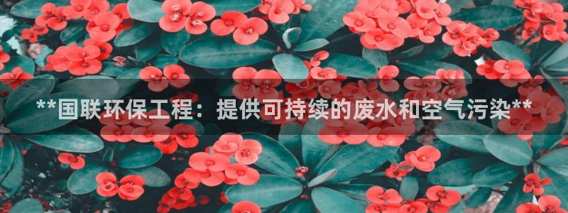 彩名堂官网谁有：**国联环保工程：提