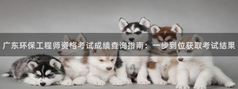 彩名堂二维码：广东环保工程师资格考试