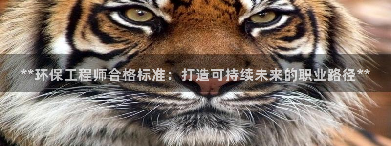 彩名堂一直不出结果怎么回事呢：**环