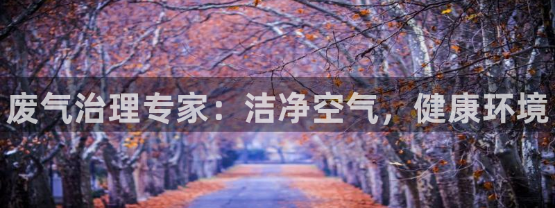 彩名堂一直不出结果怎么回事呀：废气治理专家：洁净空气，健康环境