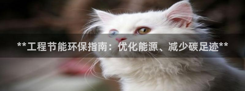 彩名堂怎么选稳定计划：**工程节能环
