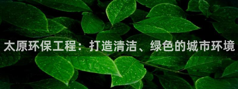 彩名堂app下载5.1.0：太原环保