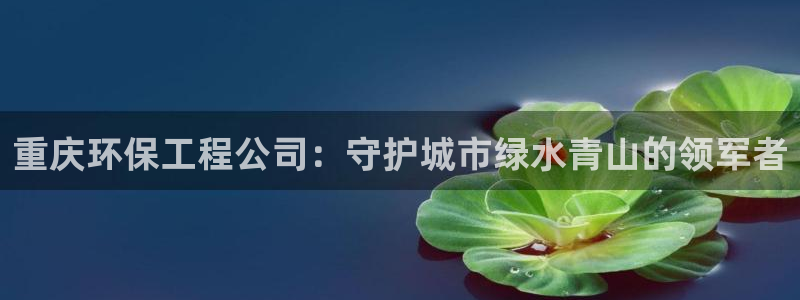 彩名堂免费计划官网怎么进不去了：重庆环保工程公司：守护城市绿水青山的领军者