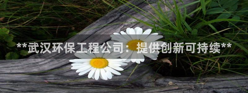 彩名堂怎么用不输：**武汉环保工程公