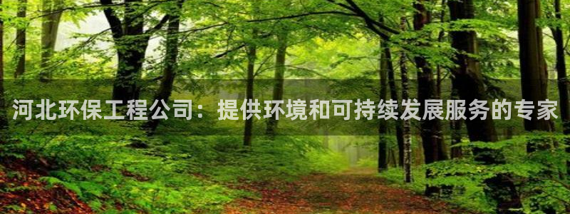 彩名堂计划怎么买胜率高：河北环保工程