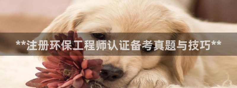 彩名堂平台：**注册环保工程师认证备