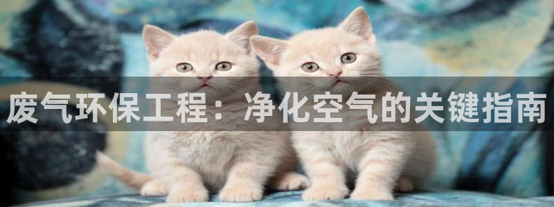 彩名堂免费计划官网怎么进不去了呀：废