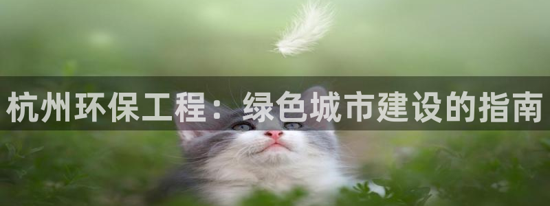 彩名堂官网网页计划：杭州环保工程：绿