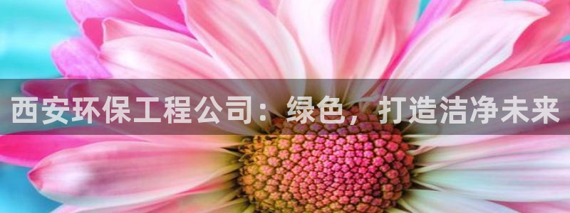彩名堂客户端是永久免费吗安全吗是真的吗：西安环保工程公司：绿色，打造洁净未来