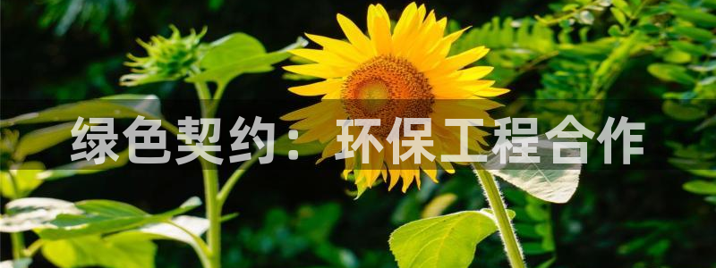 彩名堂最新免费计划官网：绿色契约：环