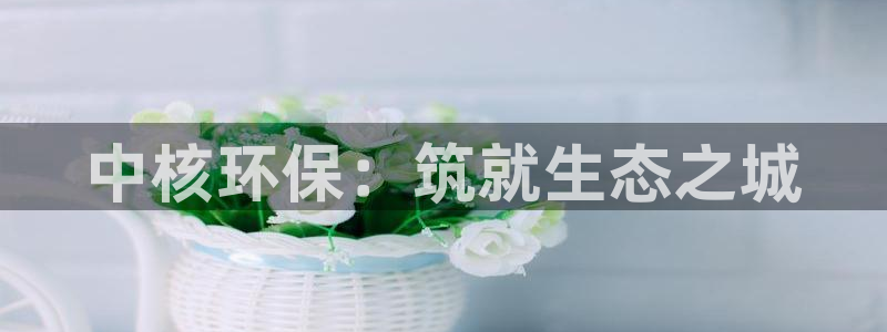 彩名堂app官方下载：中核环保：筑就生态之城