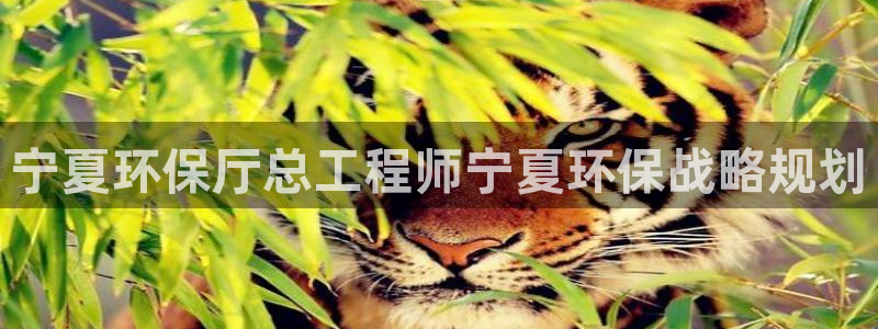 彩名堂客户端加拿大：宁夏环保厅总工程