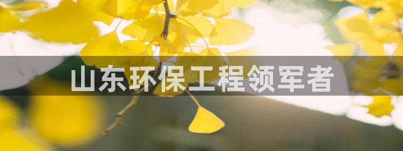 彩名堂计划怎么看：山东环保工程领军者