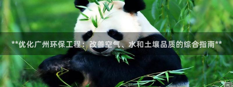 彩名堂最新计划app下载：**优化广