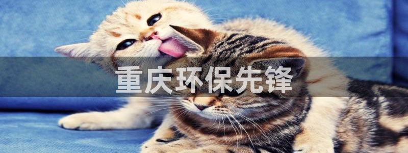 彩名堂使用方法和用量：重庆环保先锋