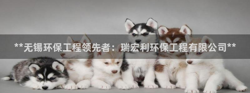 彩名堂全天计划：**无锡环保工程领先