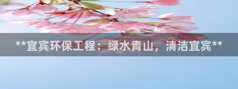 彩名堂为什么用不了了：**宜宾环保工