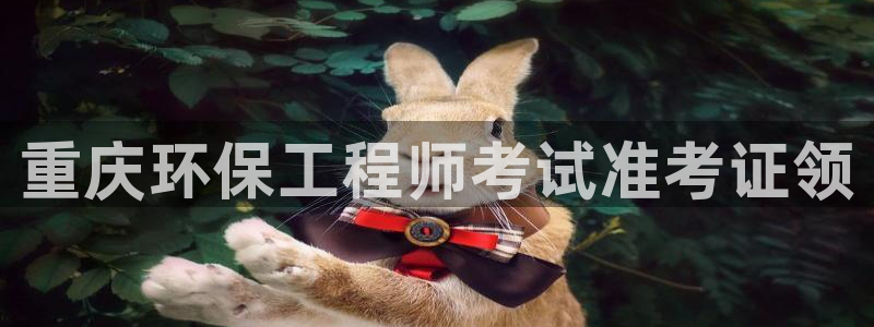 彩名堂排三：重庆环保工程师考试准考证