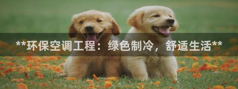 彩名堂在线下载：**环保空调工程：绿