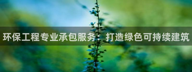 cmt彩名堂：环保工程专业承包服务：