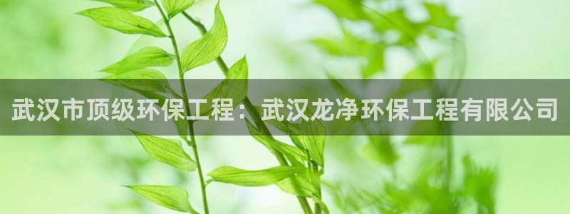 彩名堂移动客户端官网：武汉市顶级环保