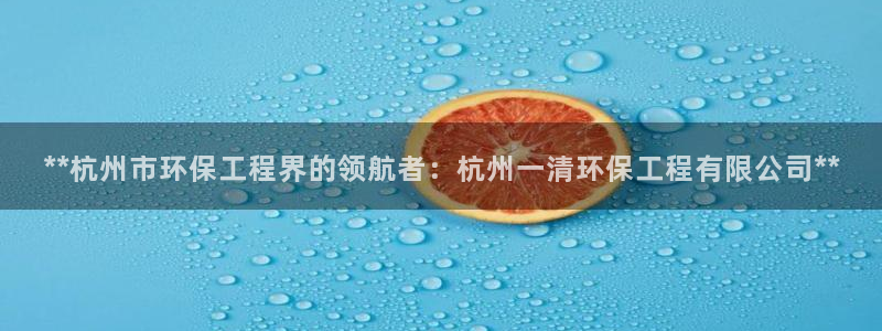 彩名堂最新版www：**杭州市环保工