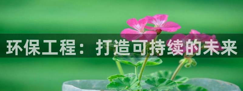 彩名堂计划怎么买胜率高：环保工程：打