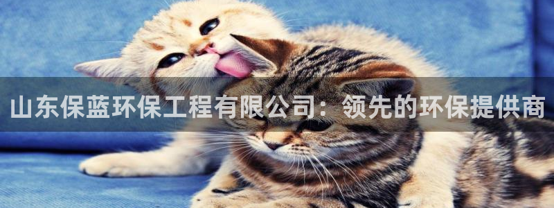正规彩名堂官网计划01：山东保蓝环保