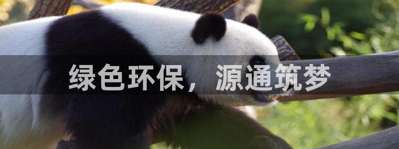 彩名堂免费计划官网50：绿色环保，源通筑梦