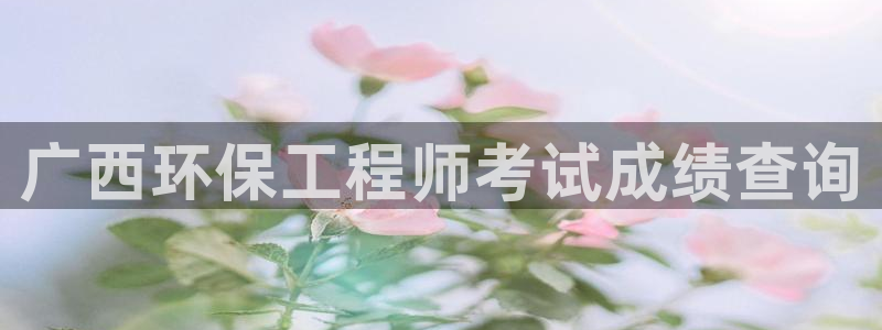 彩名堂旧版本：广西环保工程师考试成绩