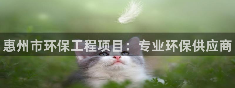 彩名堂平台：惠州市环保工程项目：专业