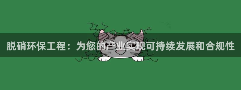 彩名堂app官方网：脱硝环保工程：为
