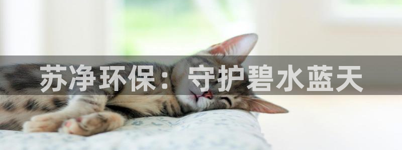 彩名堂客服：苏净环保：守护碧水蓝天