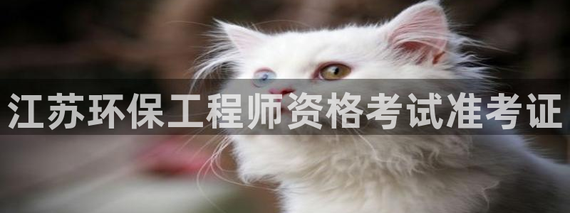 彩名堂客服：江苏环保工程师资格考试准