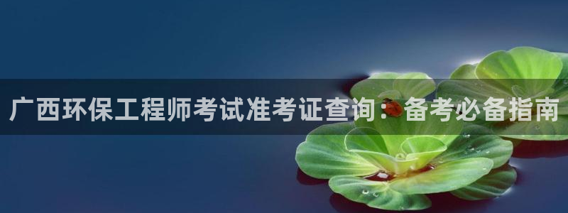 彩名堂客户端加拿大：广西环保工程师考