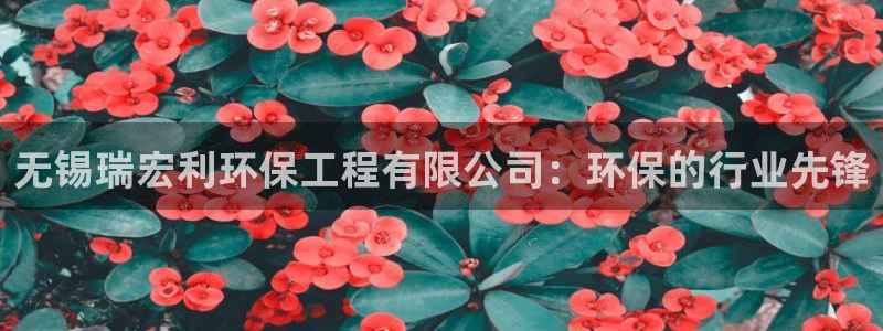 彩名堂一直不出结果怎么回事：无锡瑞宏