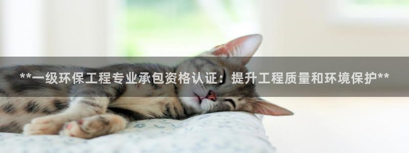 彩名堂改名稻草人了吗：**一级环保工程专业承包资格认证：提升工程质量和环境保护**