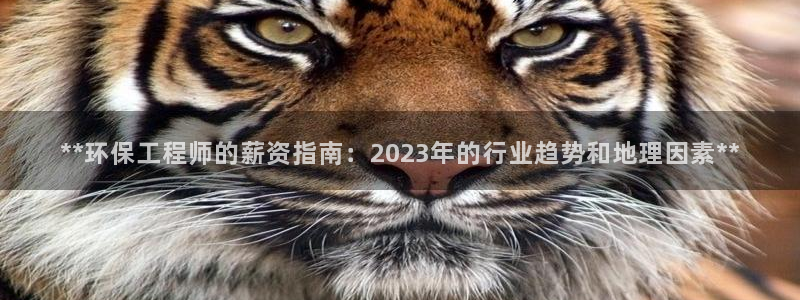 彩名堂预测：**环保工程师的薪资指南