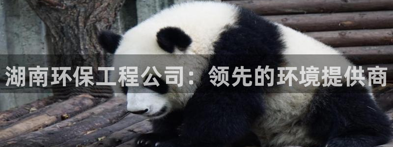 彩名堂最新计划下载地址：湖南环保工程