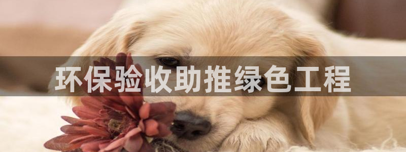 彩名堂为什么用不了了：环保验收助推绿