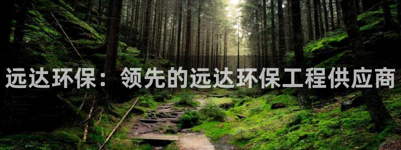 彩名堂的拼音：远达环保：领先的远达环