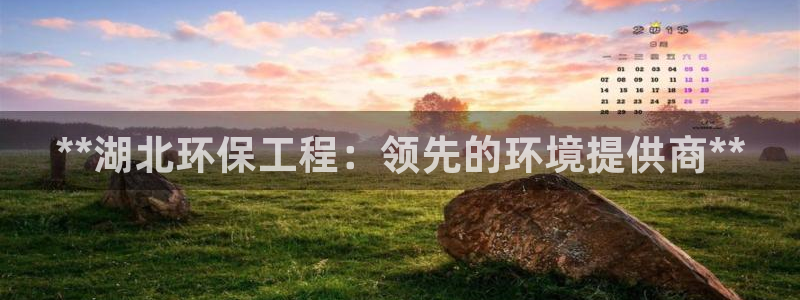 彩名堂5.0：**湖北环保工程：领先