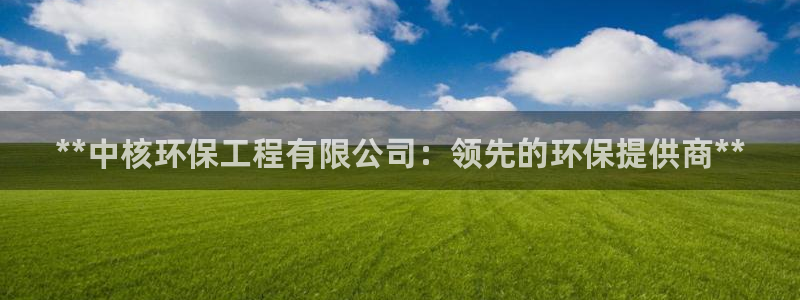 彩名堂官方软件下载：**中核环保工程有限公司：领先的环保提供商**