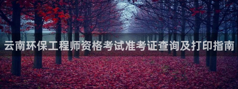 彩名堂移动客户端官网：云南环保工程师