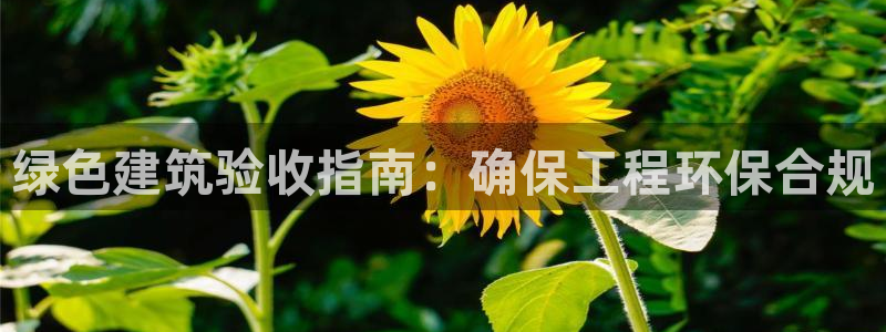 彩名堂好用还是千里马好用：绿色建筑验