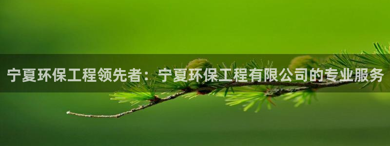 彩名堂在线下载：宁夏环保工程领先者：