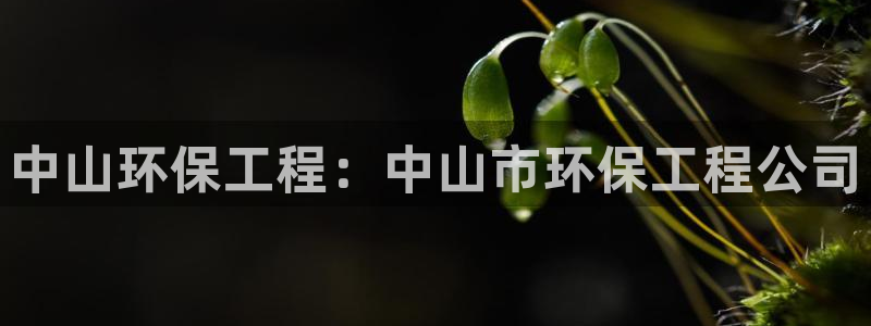彩名堂图片：中山环保工程：中山市环保