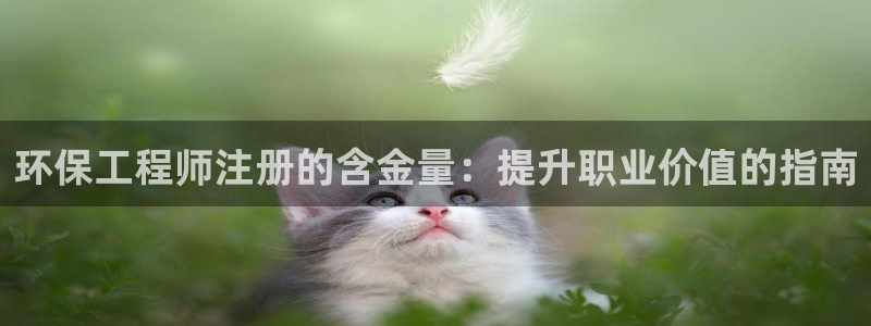 彩名堂app官网：环保工程师注册的含