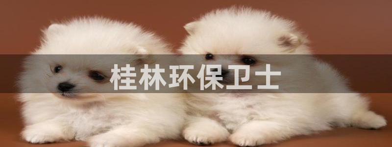 彩名堂预测计划：桂林环保卫士