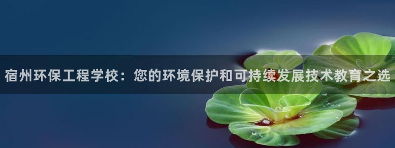 彩名堂幸运飞船计划：宿州环保工程学校